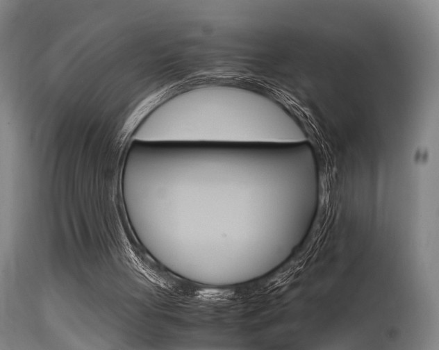 X0000115580051200911101003