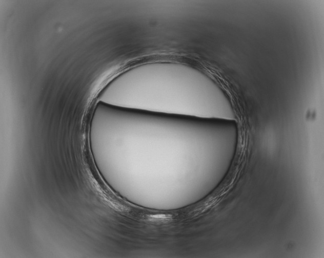 X0000115580053200911101003