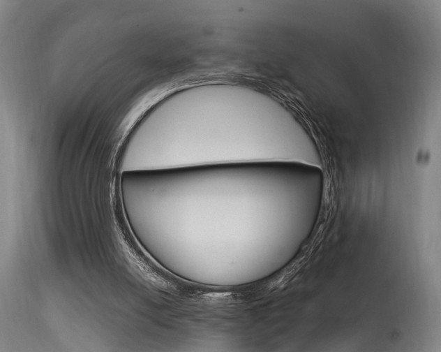 X0000115580054200911101003