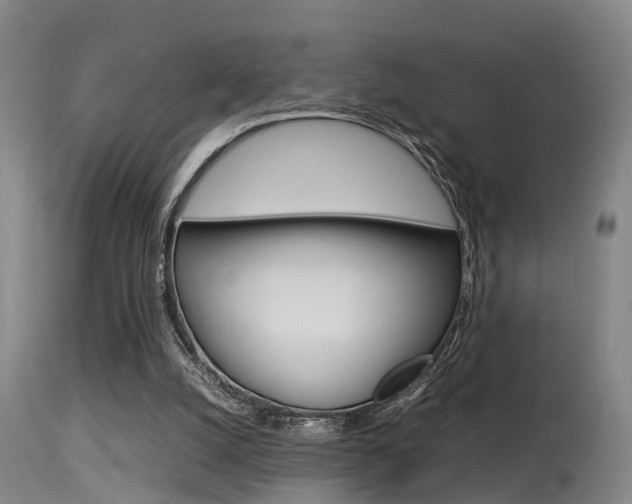 X0000115580056200911101003