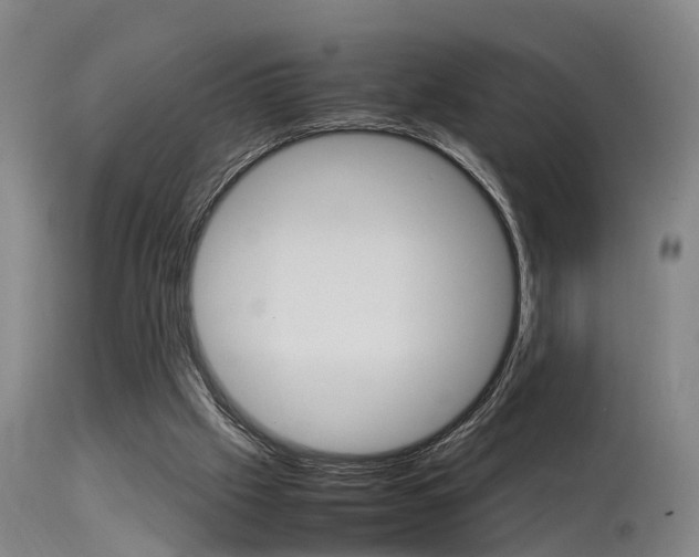 X0000115580057200911101003