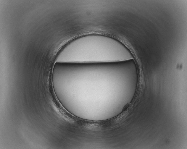 X0000115580058200911101003