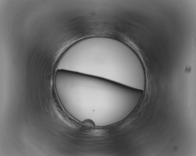 X0000115580059200911101003