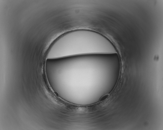 X0000115580060200911101003