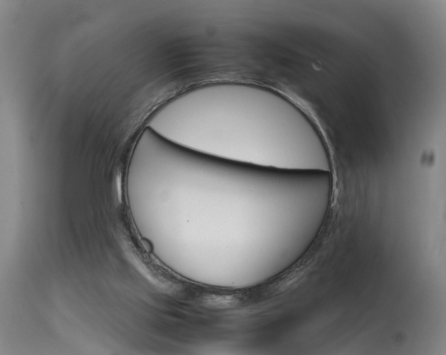 X0000115580061200911101003