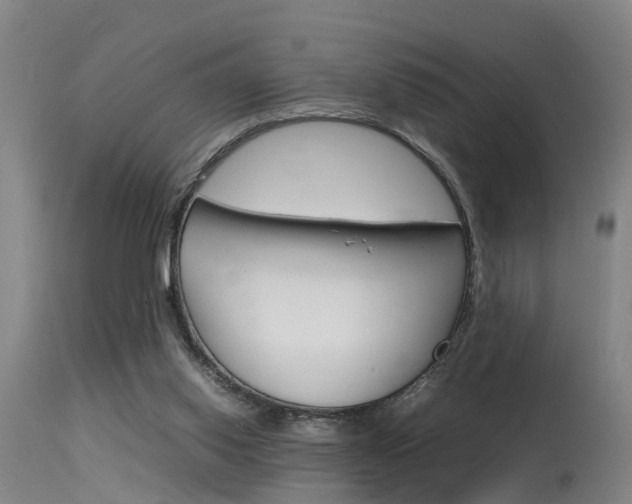 X0000115580062200911101003