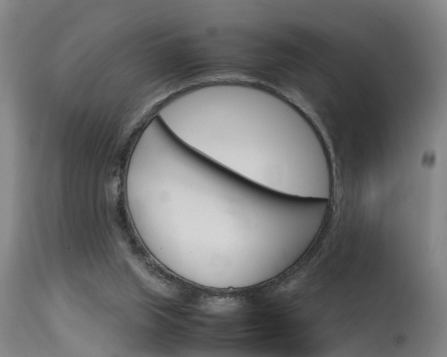 X0000115580063200911101003