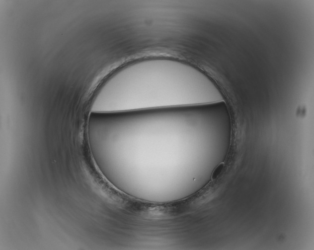 X0000115580064200911101003