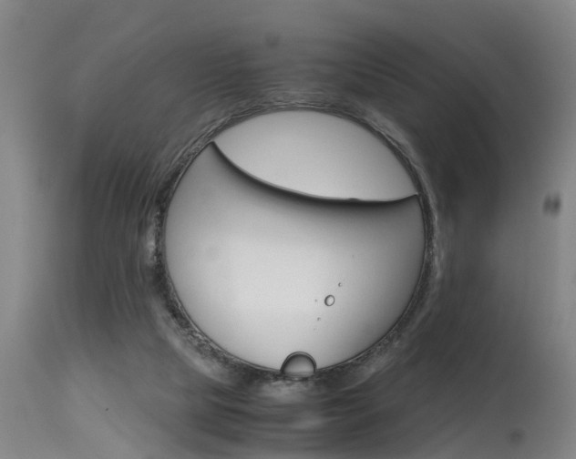 X0000115580065200911101003