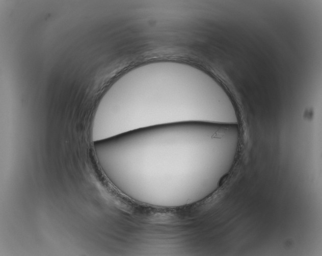 X0000115580066200911101003