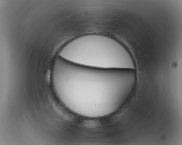 X0000115580067200911101003