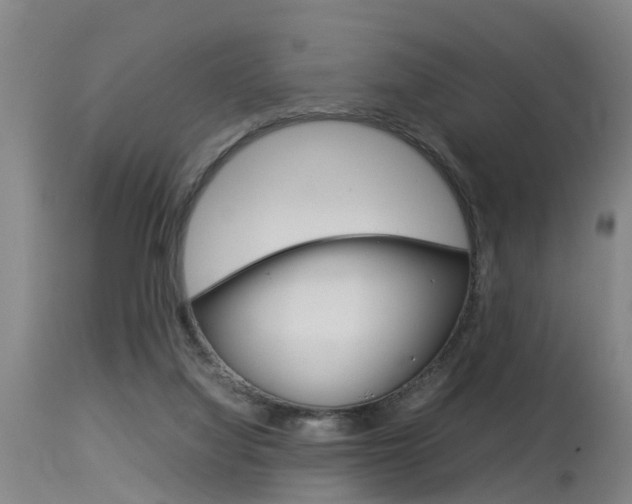 X0000115580068200911101003