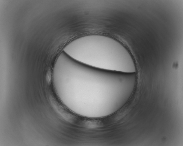 X0000115580069200911101003