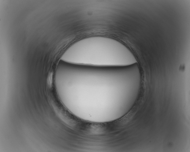 X0000115580070200911101003