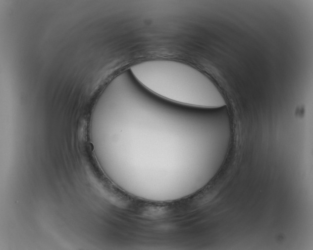 X0000115580071200911101003