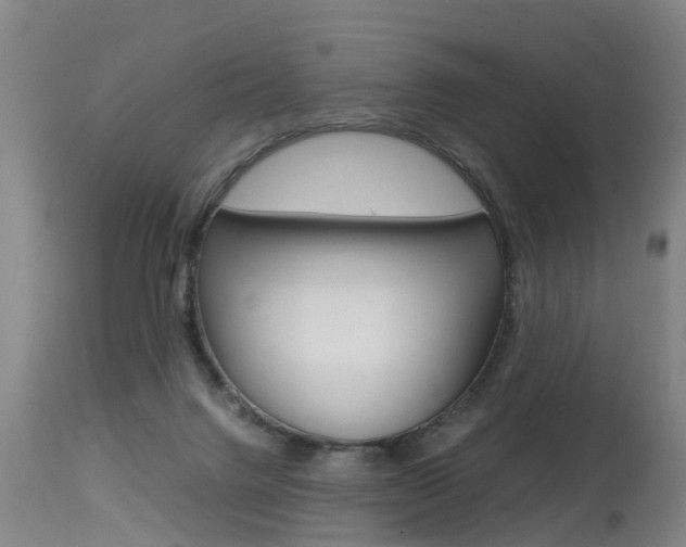 X0000115580072200911101003