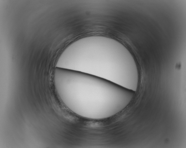 X0000115580073200911101003