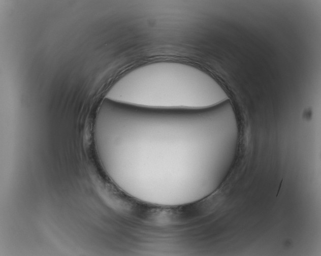 X0000115580074200911101003