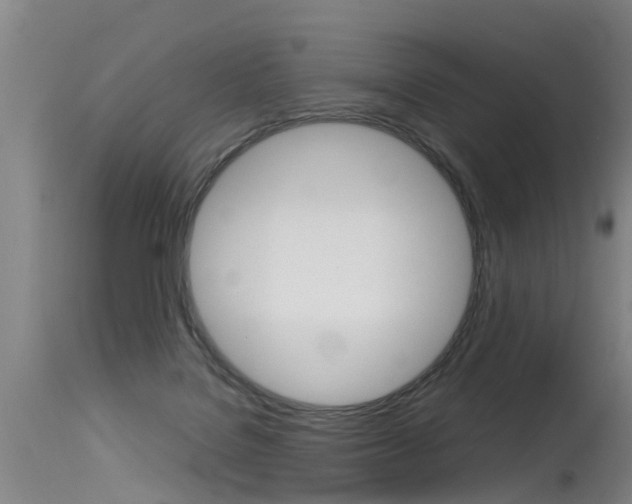 X0000115580076200911101003