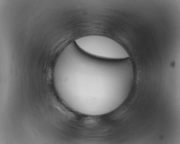 X0000115580077200911101003