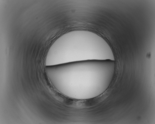 X0000115580078200911101003