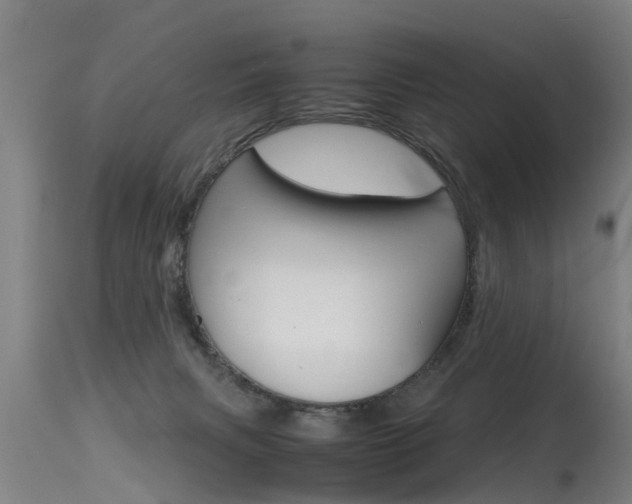 X0000115580079200911101003