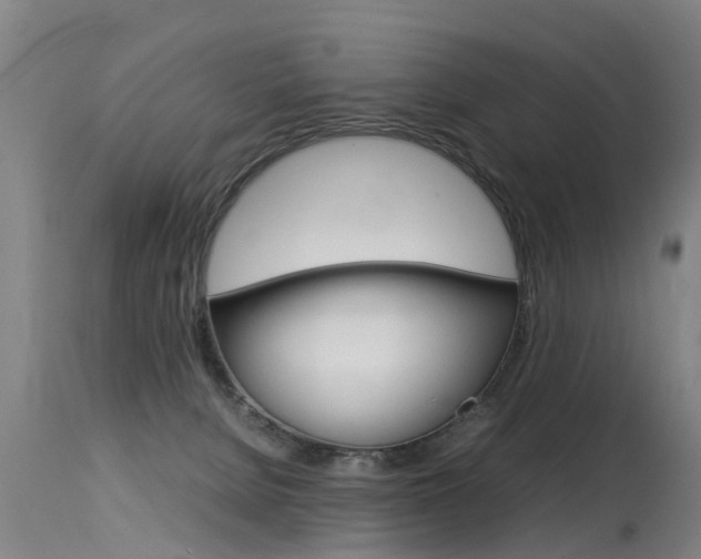 X0000115580080200911101003