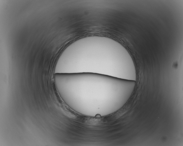 X0000115580081200911101003