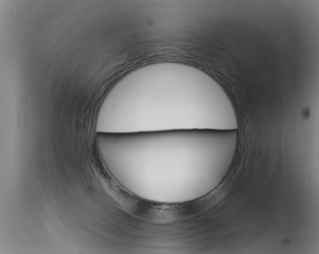 X0000115580082200911101003