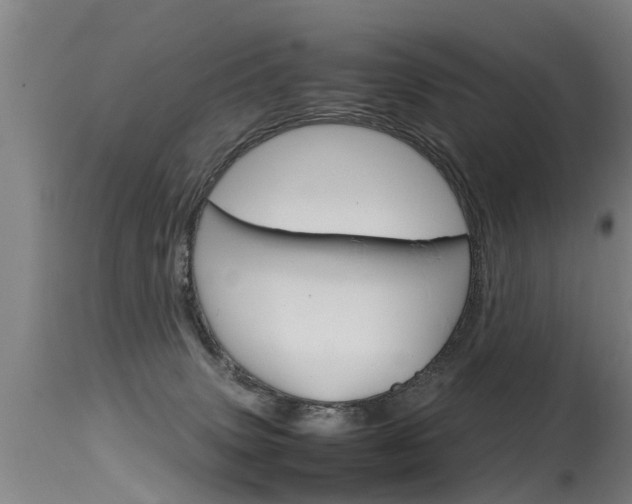 X0000115580083200911101003