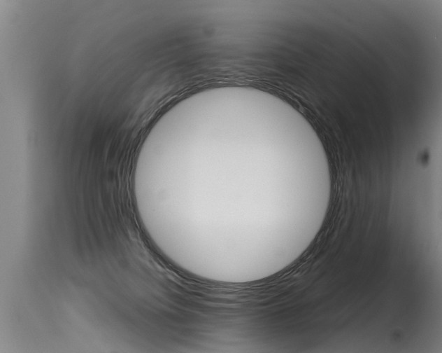 X0000115580084200911101004