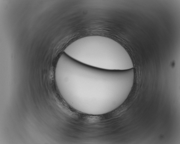 X0000115580085200911101004