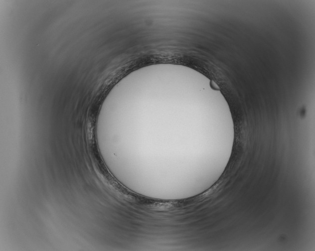 X0000115580086200911101004