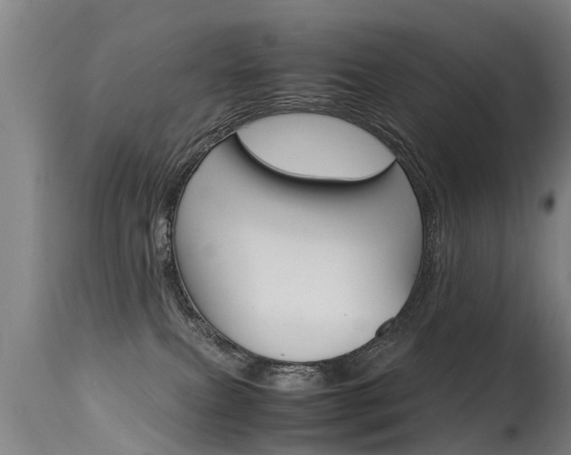 X0000115580087200911101004