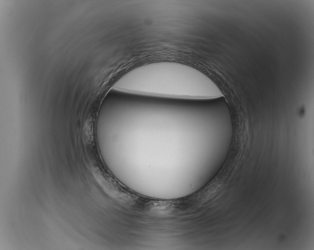 X0000115580088200911101004