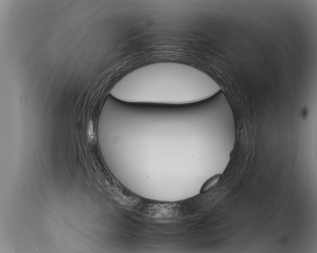 X0000115580089200911101004