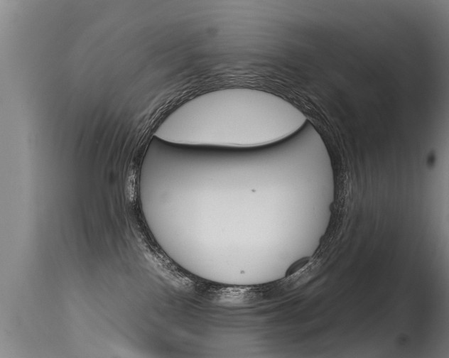 X0000115580090200911101004