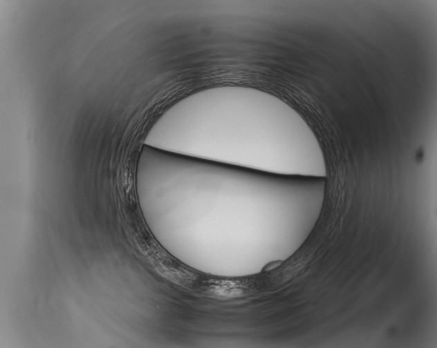 X0000115580091200911101004