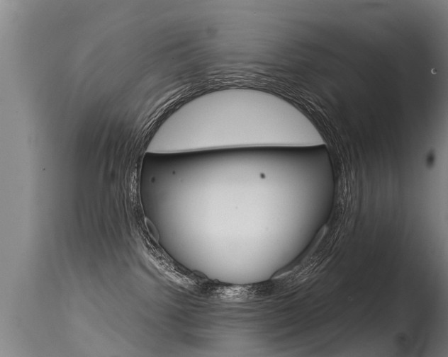 X0000115580092200911101004