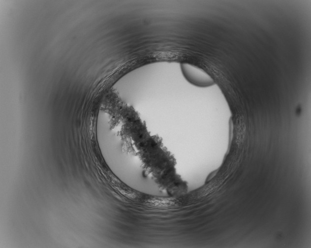 X0000115580093200911101004