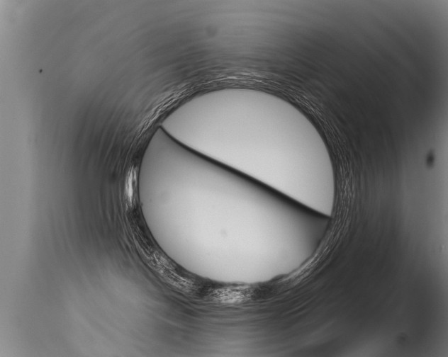 X0000115580094200911101004