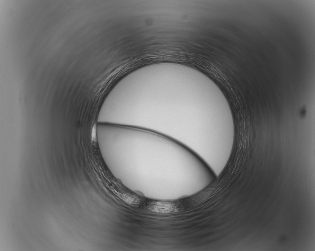 X0000115580095200911101004