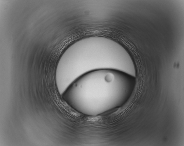 X0000115580096200911101004