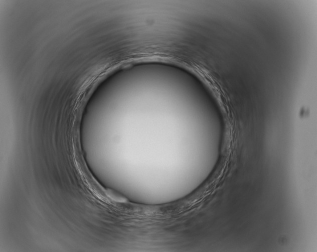 X0000115580097200911101003