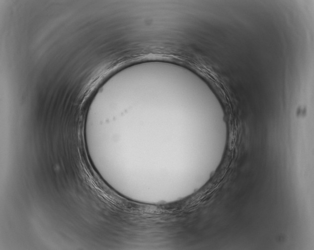 X0000115580098200911101003