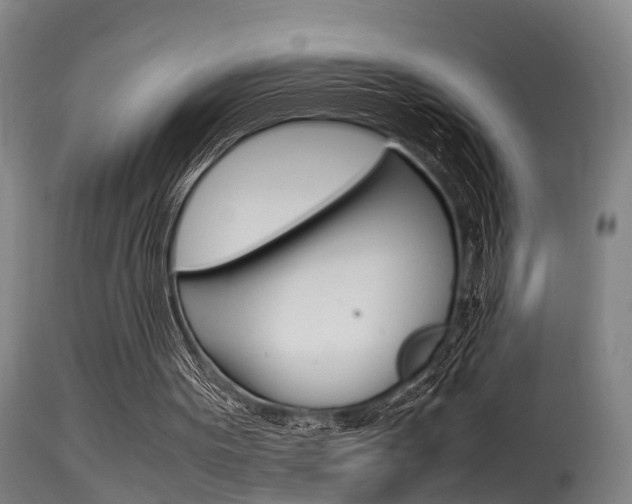 X0000115580099200911101003