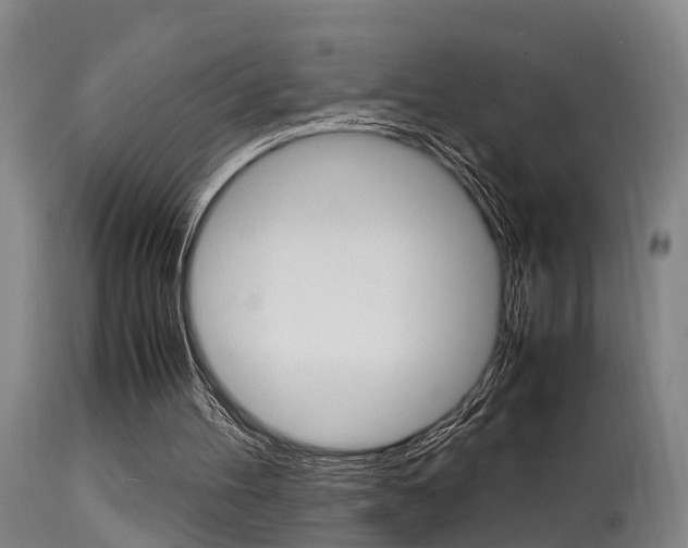 X0000115580100200911101003