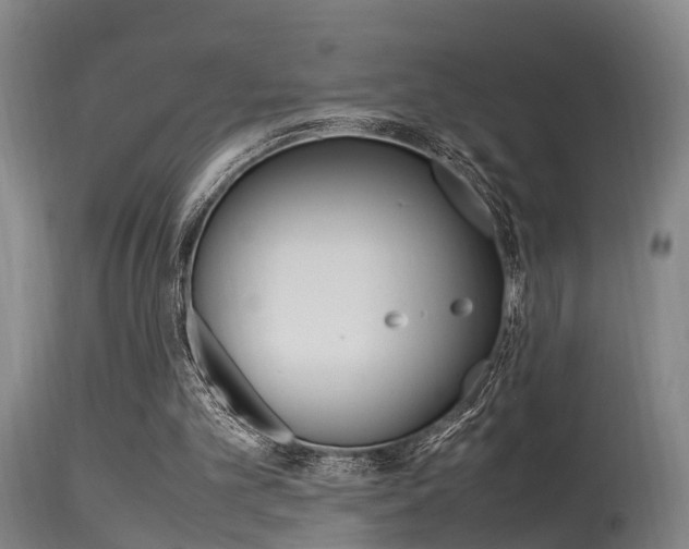 X0000115580101200911101003