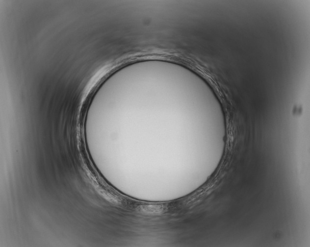 X0000115580102200911101003