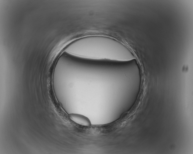 X0000115580103200911101003